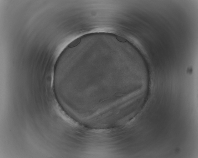 X0000110721276200907022037