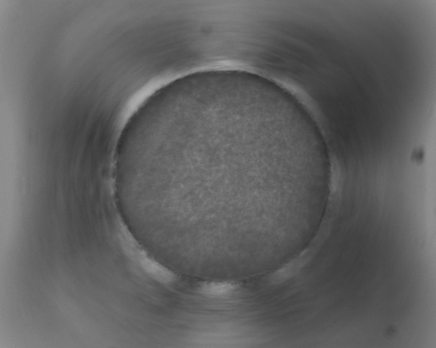 X0000110721278200907022037