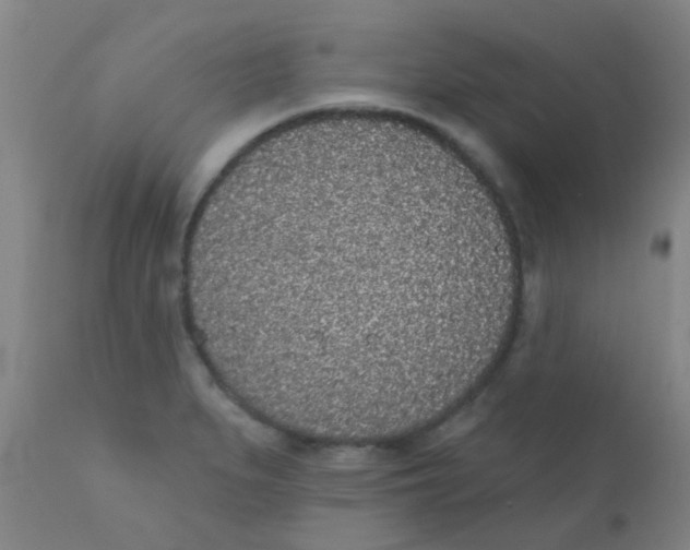 X0000110721279200907022037