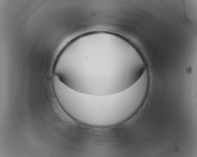 X0000110721280200907022037