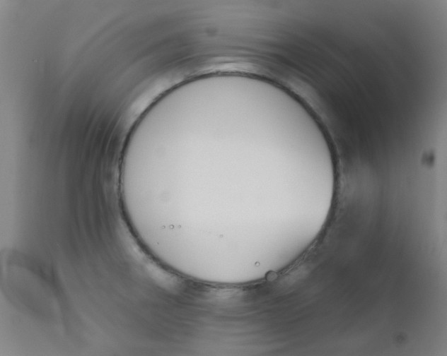 X0000110721282200907022037