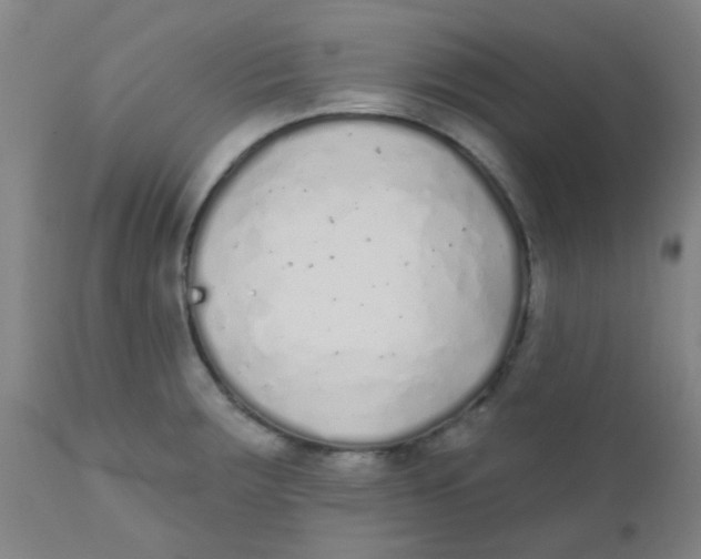 X0000110721283200907022037