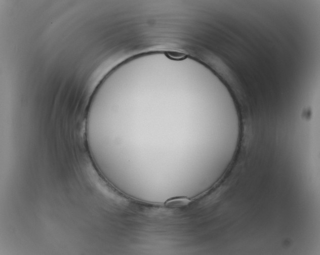 X0000110721284200907022037