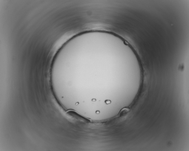 X0000110721285200907022037