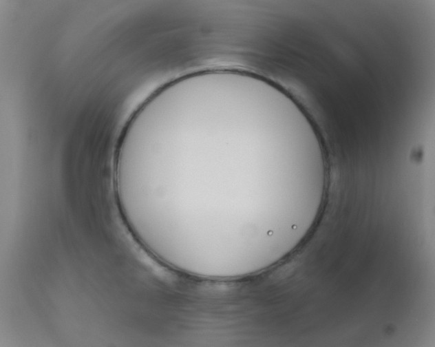 X0000110721286200907022037