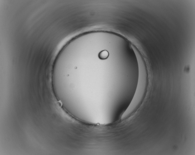 X0000110721288200907022037