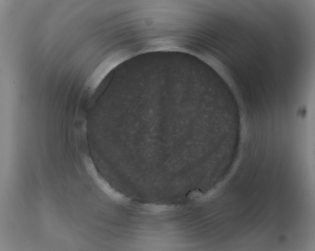 X0000110721289200907022037