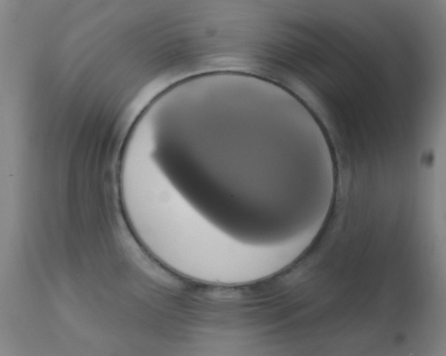 X0000110721291200907022037