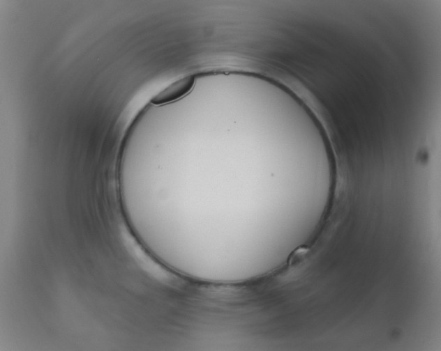 X0000110721293200907022037