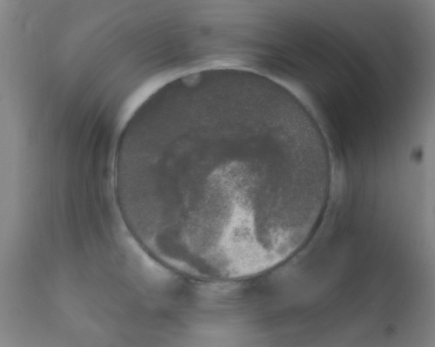 X0000110721294200907022037