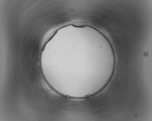 X0000110721296200907022037