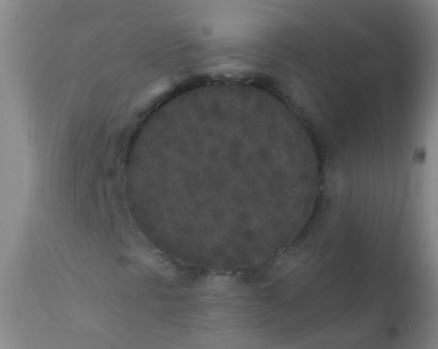 X0000110721297200907022037