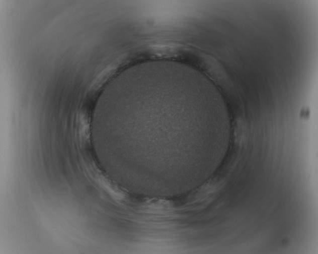 X0000110721298200907022037