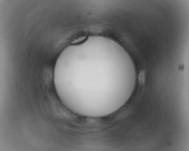 X0000110721299200907022037