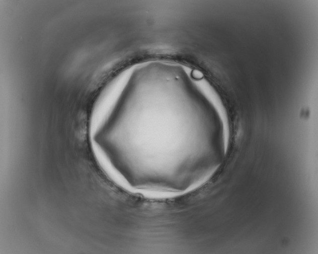 X0000110721301200907022037