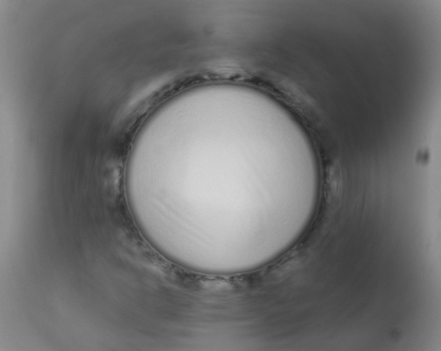 X0000110721302200907022037