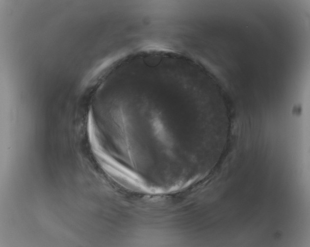 X0000110721303200907022037