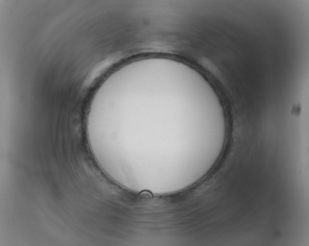 X0000110721307200907022037