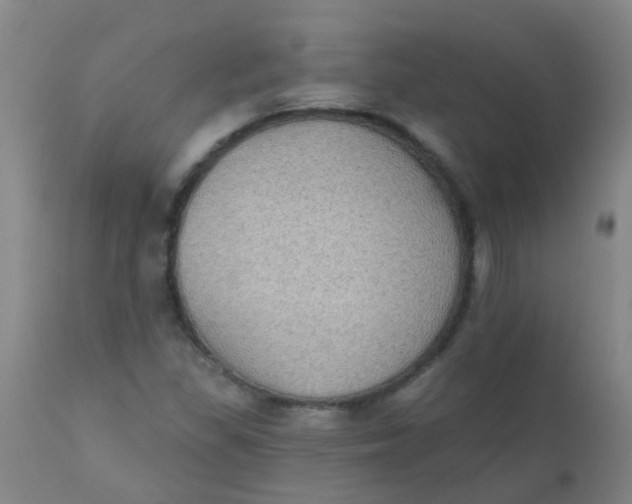 X0000110721309200907022037