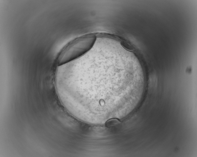 X0000110721310200907022037