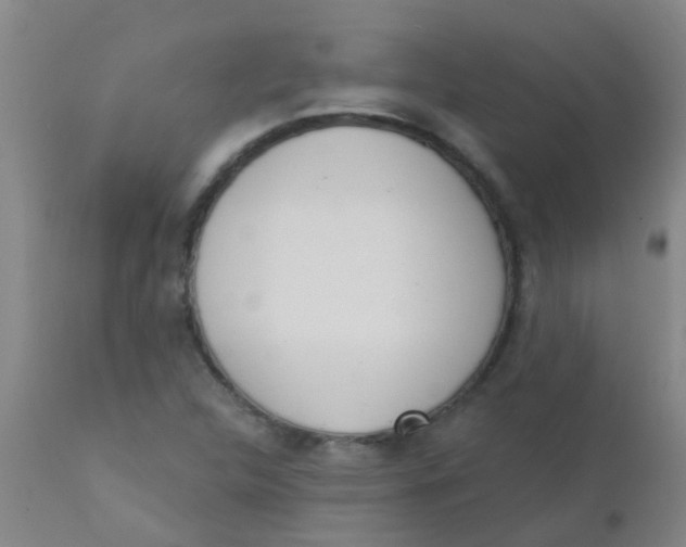 X0000110721312200907022037