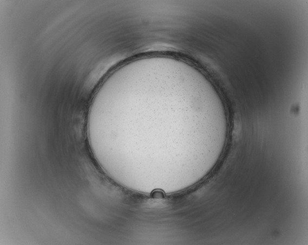 X0000110721313200907022037