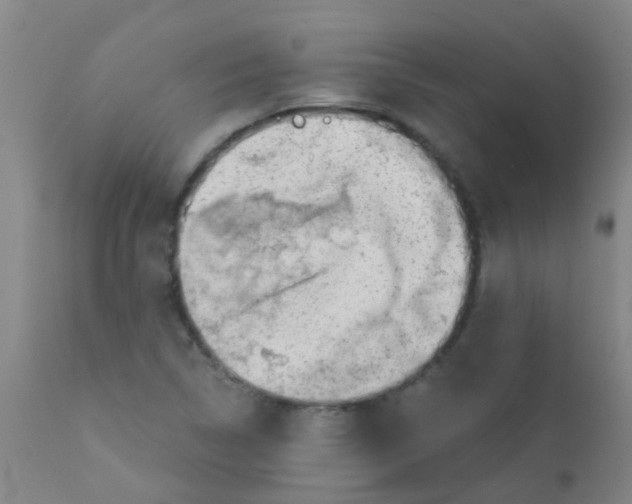 X0000110721314200907022037