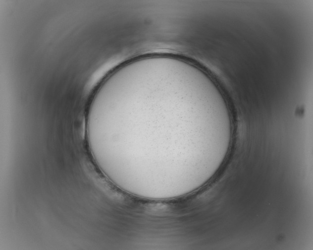 X0000110721317200907022037