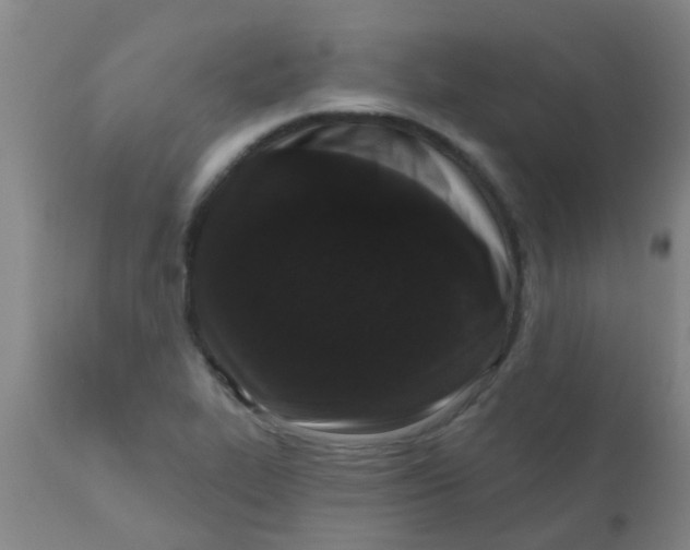 X0000110721319200907022037