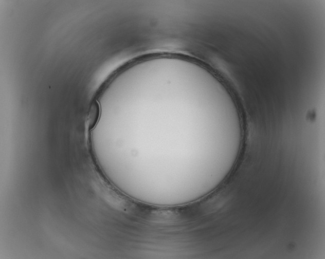 X0000110721320200907022037