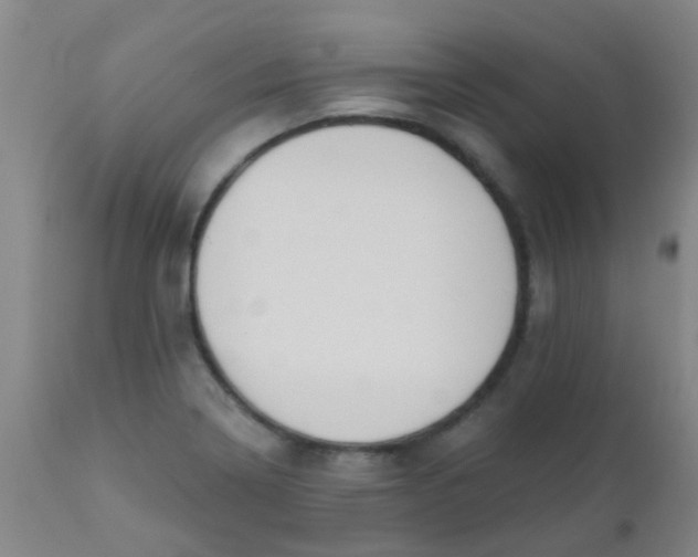 X0000110721322200907022037