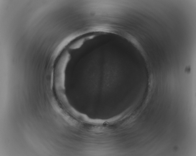 X0000110721323200907022037