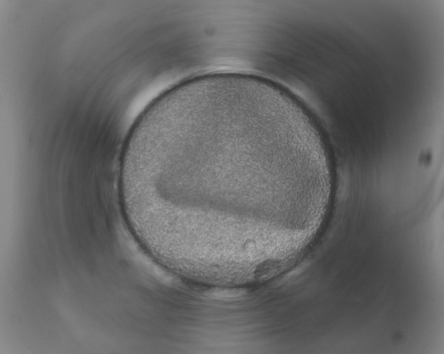 X0000110721325200907022037