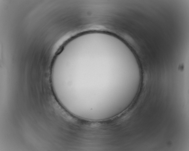 X0000110721326200907022037