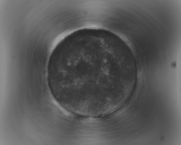 X0000110721327200907022037