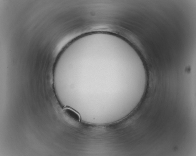 X0000110721328200907022037