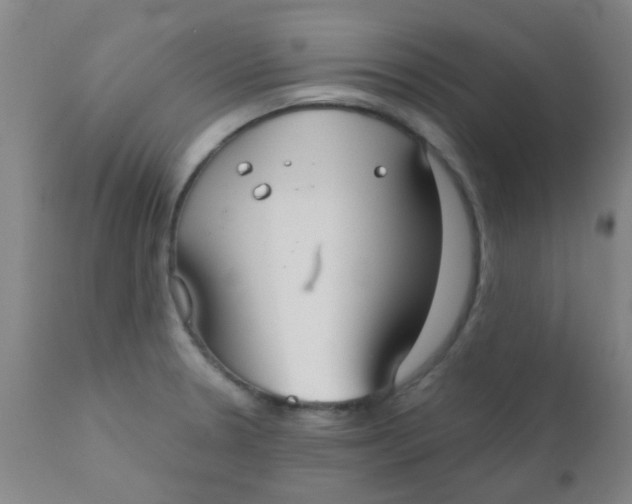 X0000110721330200907022037