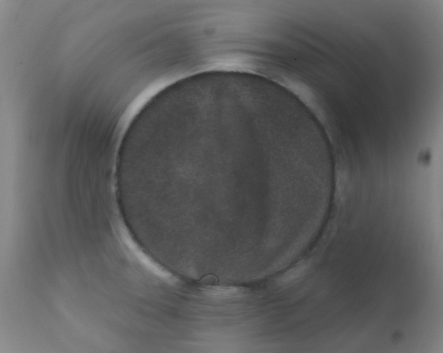 X0000110721331200907022037