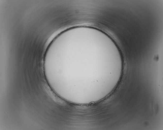 X0000110721332200907022037