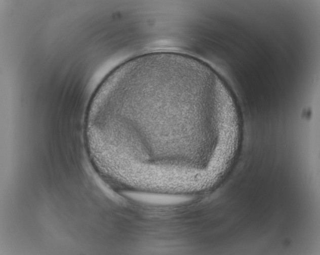 X0000110721333200907022037