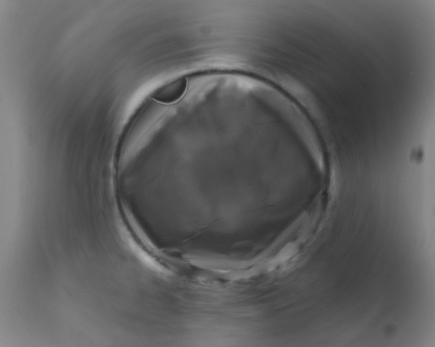 X0000110721334200907022037