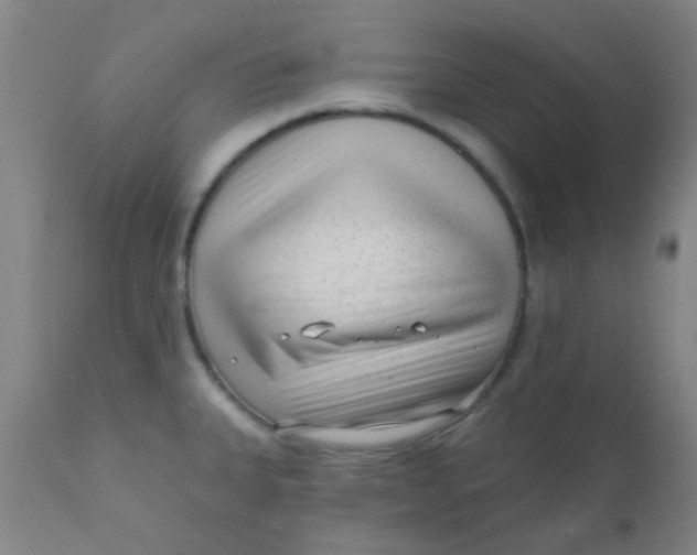 X0000110721335200907022037