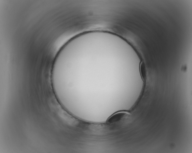 X0000110721336200907022037