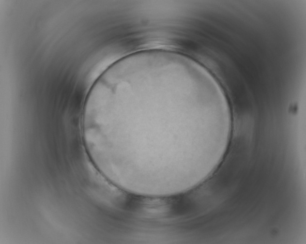 X0000110721338200907022037