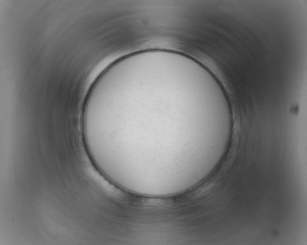 X0000110721339200907022037