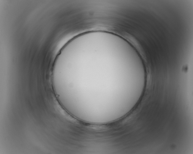 X0000110721340200907022037