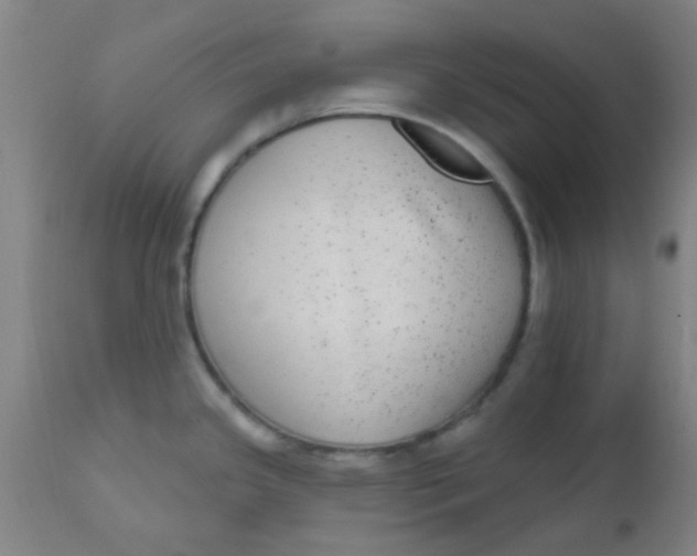 X0000110721341200907022037