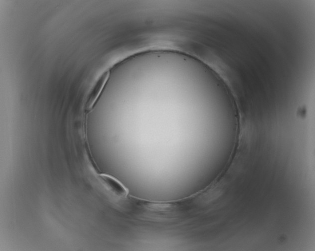 X0000110721342200907022037