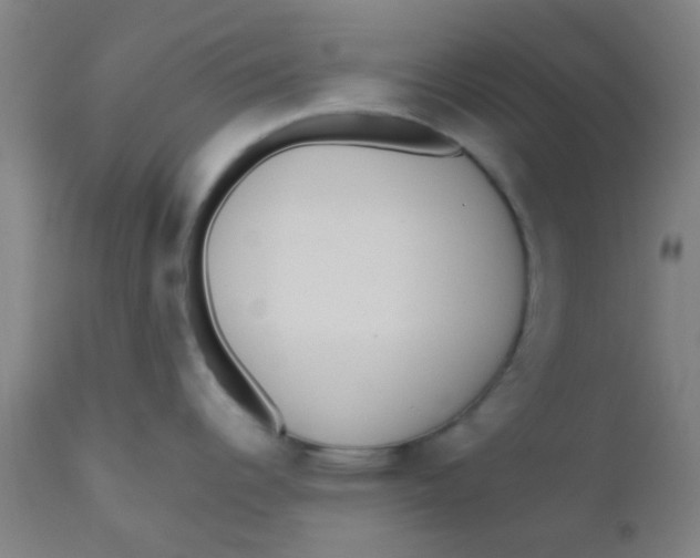 X0000110721344200907022037