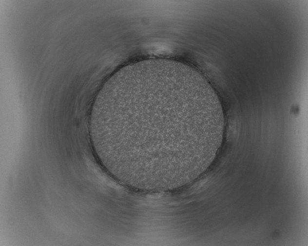 X0000110721345200907022037